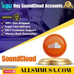 allsmmusa